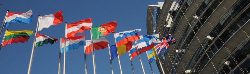 EU flags